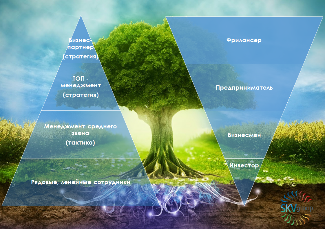 Уровни менеджмента и типология бизнесменов